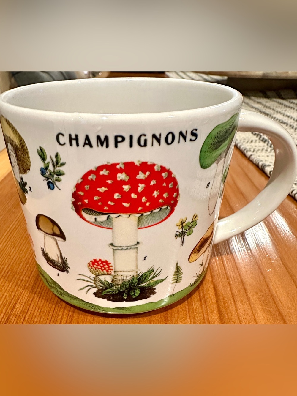 Cavallini Co Vintage Mushrooms Ceramic Mug 14oz Champignons Cottagecore Cup NOB